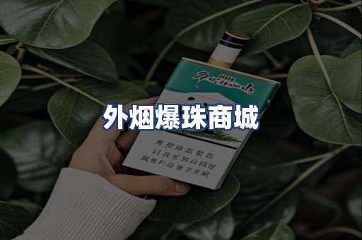 外烟爆珠商城